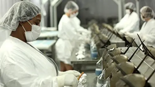 Science dessus dessous S01E04 Métiers étranges