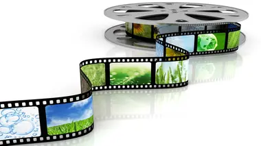 Sciences et environnement