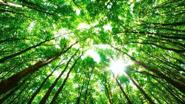 Sciences et environnement