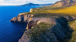 Visuel de Science of : Les sentinelles de la Méditerranée