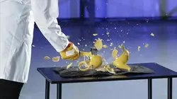 Science of Stupid Dans la neige