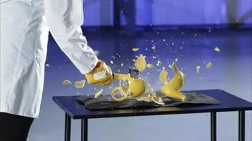 Science of Stupid Dans la neige