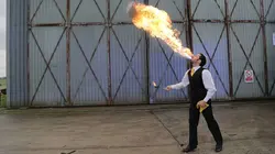 Science of Stupid Sur la route des vacances