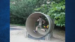 Science of Stupid Remise en forme