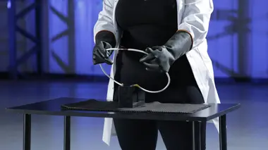 Science of Stupid