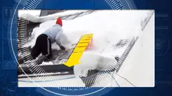 Sur National Geographic à 20h40 : Science of Stupid
