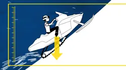 Science of Stupid Barbecues et hamacs