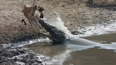 Spécial Nature