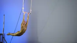 Sur National Geographic à 22h40 : Science of Stupid