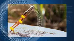 Science of Stupid  Skateboard et moto