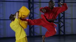 Science of Stupid Chest bumps et karaté