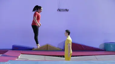 Roue arrière, roue de hamster et trampolines
