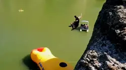 Science of Stupid Lawn Mowers and Pinatas