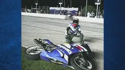 Visuel de Science of Stupid Allemagne