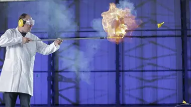 Science of Stupid Allemagne