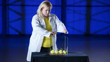 Science of Stupid S03E13