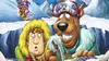 Scooby-Doo, du sang froid !