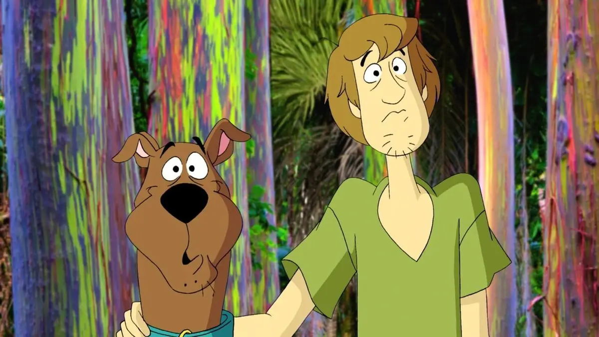 Scooby Doo et les mystères de la nature S01E05 Eucalyptus Arc-en-Ciel