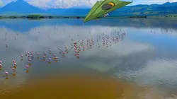 Scooby Doo et les mystères de la nature