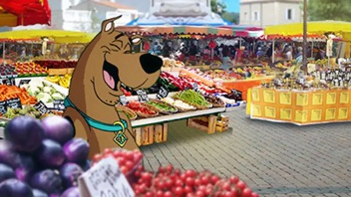 Scooby en France Région Provence-Alpes-Côte-d'Azur (PACA)
