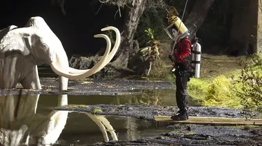 Scorpion S03E10 Le seigneur des marais