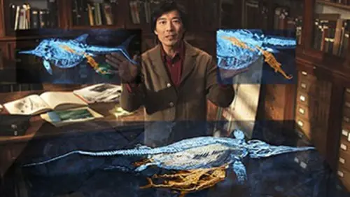 Sea Rex
