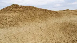 Sécheresse en Europe : catastrophe en vue