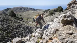 Seconde Guerre mondiale : Héros de la survie