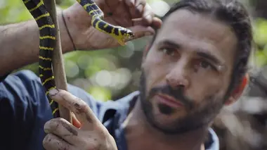 Évasion au cœur de la jungle