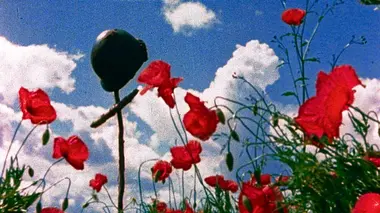 De la Sicile à Anzio