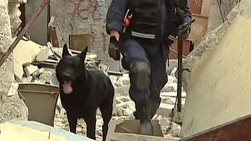 Secouristes de l'extrême S02E04 Chiens sauveteurs