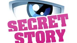 Visuel de Secret Story : le best-of