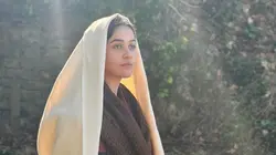 Programme ce soir sur France 3