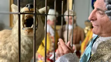 Louis XV et la bête du Gévaudan