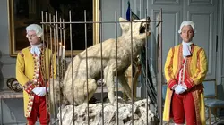 Secrets d'histoire Louis XV et la bête du Gévaudan en streaming