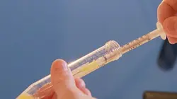 Visuel de Secrets de banques de sperme