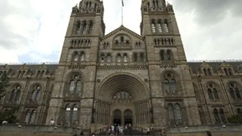 Secrets de musées E05 Le Musée d'Histoire naturelle de Londres