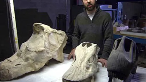 Secrets de musées E03 Le Musée royal de l'Ontario