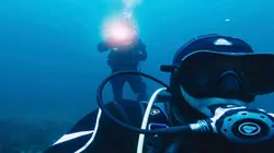 Visuel de Secrets des profondeurs