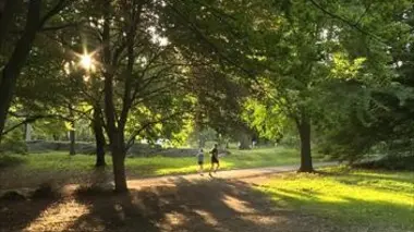 Central Park New York City