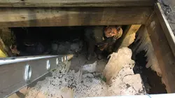 Secrets enfouis  S02E06 Le mystère de la grotte de glace