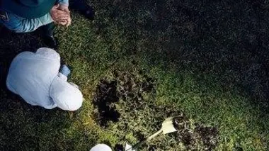 Entre les mailles du filet