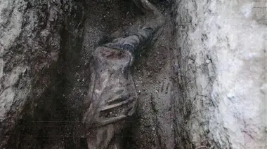 Une amitié mortelle