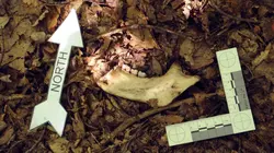 Secrets enterrés S03E07 Affaire Samuels : une amitié trahie