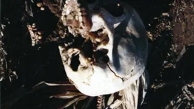 Cauchemar dans le Midwest