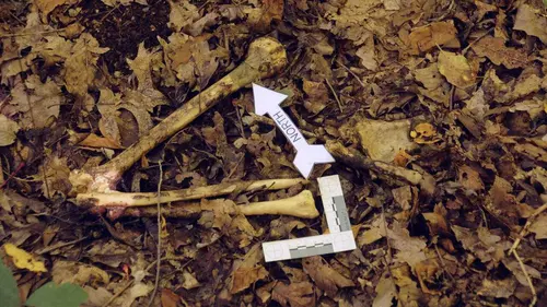 Secrets enterrés S03E07 Affaire Samuels : une amitié trahie