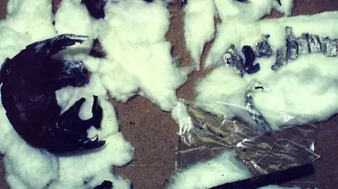 Le prix de la liberté