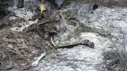 Secrets enterrés S03E16 Disparition inquiétante à l'université