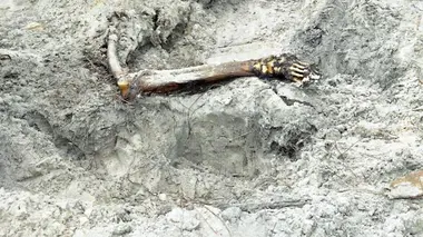 Disparition inquiétante à l'université