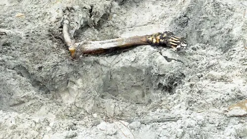 Secrets enterrés S03E16 Disparition inquiétante à l'université